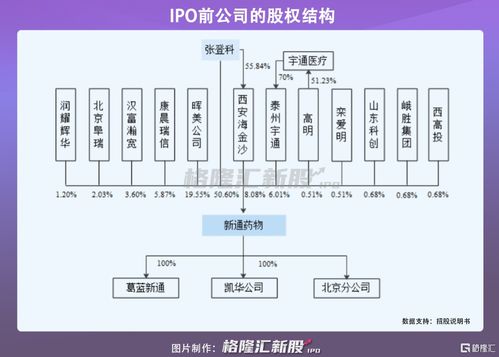 新通药物冲刺科创板 尚未盈利的创新药企，授权与合作开发模式下的机遇与挑战